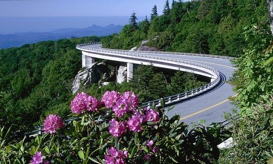 Embarking on the Ultimate Ride: Bare Knuckle Biker's Journey Along the Blue Ridge Parkway